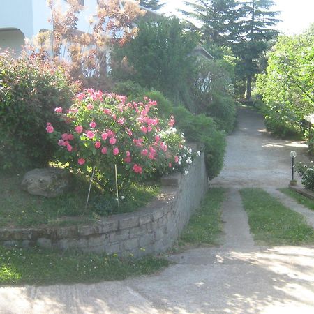 La Villa Di Lucia Βιτέρμπο Εξωτερικό φωτογραφία