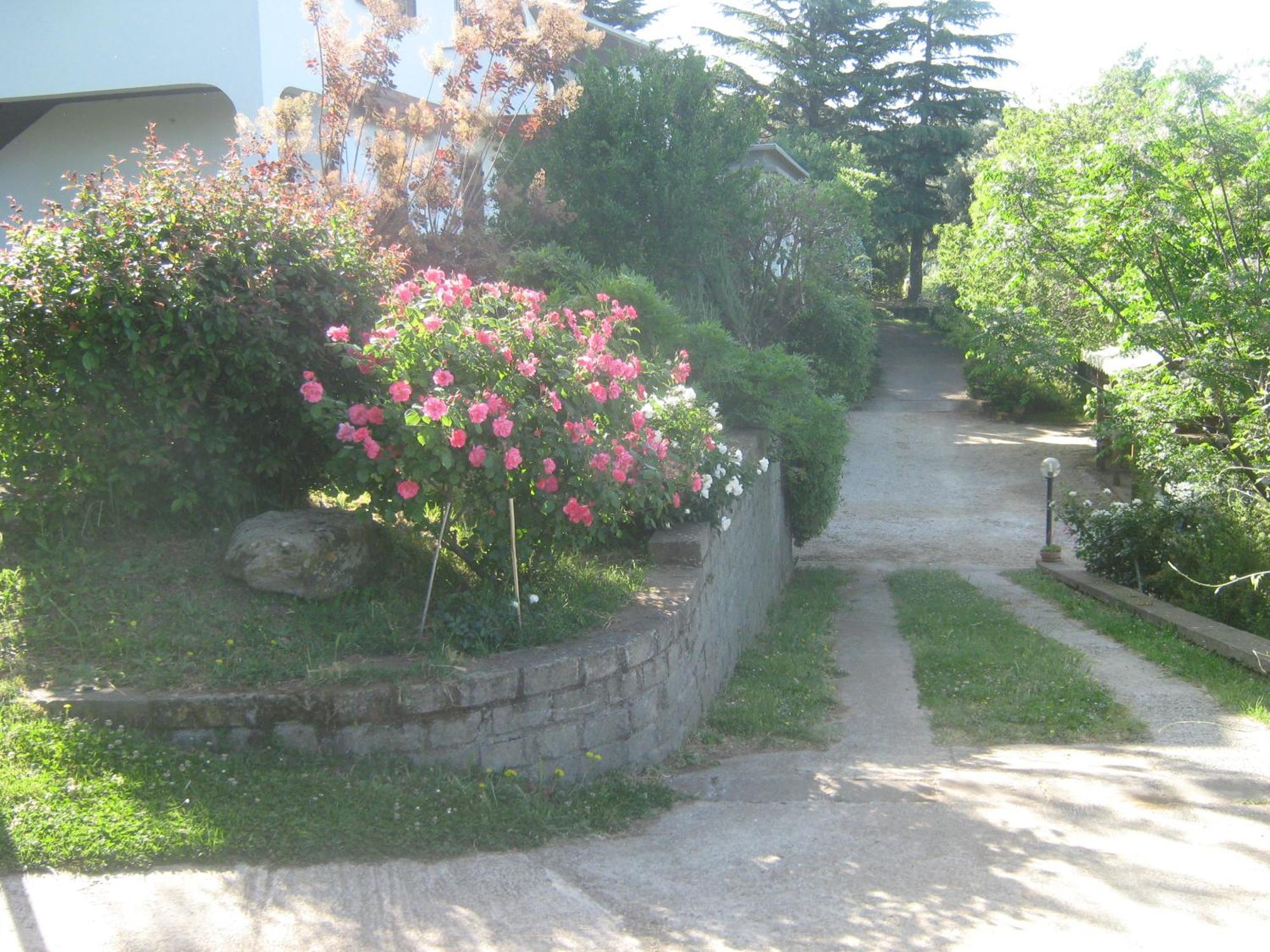 La Villa Di Lucia Βιτέρμπο Εξωτερικό φωτογραφία