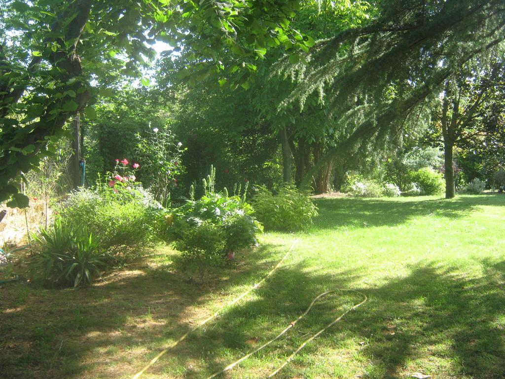 La Villa Di Lucia Βιτέρμπο Δωμάτιο φωτογραφία