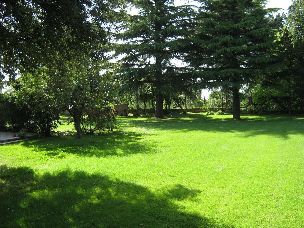 La Villa Di Lucia Βιτέρμπο Δωμάτιο φωτογραφία