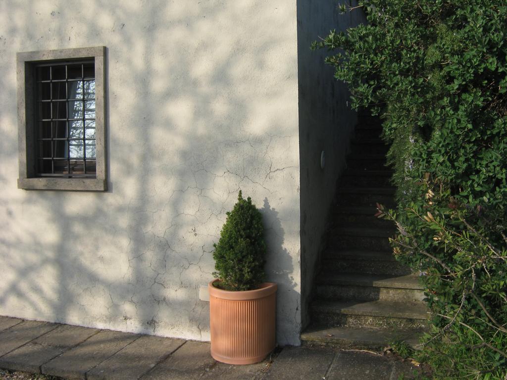 La Villa Di Lucia Βιτέρμπο Εξωτερικό φωτογραφία